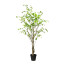 Kunstpflanze Louisiana-Baum, grün, PU-Stamm, inklusive Kunststoff-Topf, Höhe ca. 240 cm