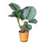 Kunstpflanze Calatheapflanze, grün / weiß, inklusive Paperpot, Höhe ca. 45 cm
