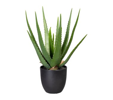 Kunstpflanze Aloe, grün, inklusive Kunststoff-Topf,...