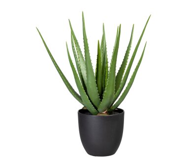 Kunstpflanze Aloe, grün, inklusive Kunststoff-Topf,...