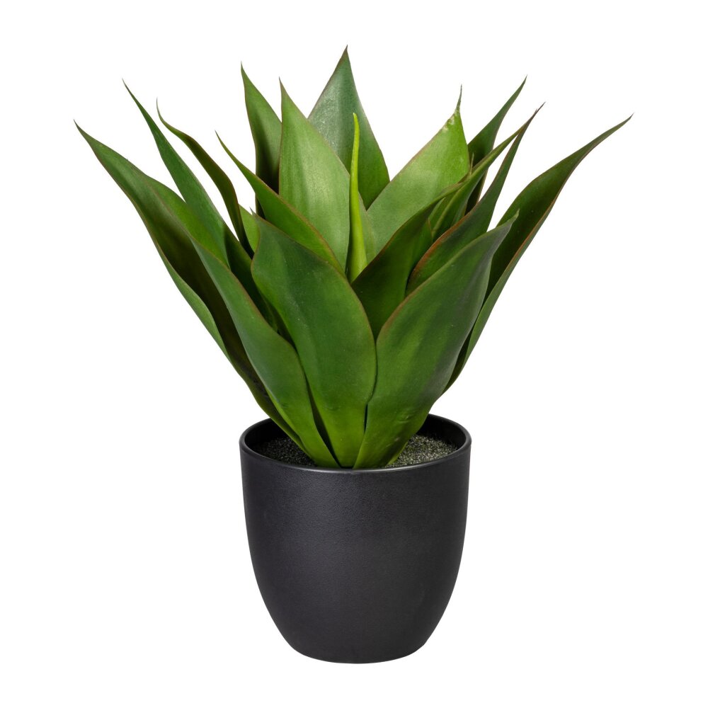 Kunstpflanze Agave, grün, inklusive Kunststoff-Topf, Höhe ca. 36 cm online  kaufen
