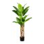 Künstliche Bananenpflanze, grün, inklusive Kunststoff-Topf, Höhe ca. 150 cm