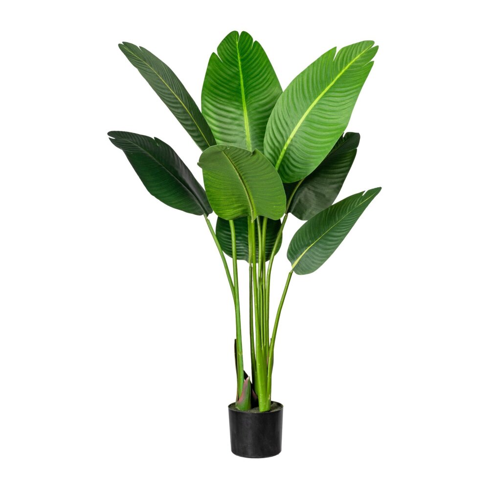 Kunstpflanze Strelizia Nicolai, grün, inklusive Kunststoff-Topf, Höhe ca.  120 cm online kaufen