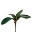 Künstliches Orchideenlaub, 6er Set, grün, Höhe ca. 20 cm