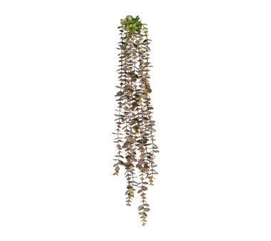 Kunstpflanze Eukalypthushänger, 2er Set, grün /...