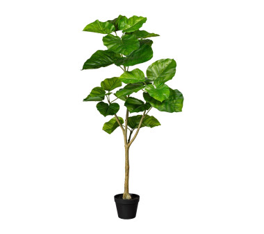 Kunstpflanze Ficus Umbellata, grün, inklusive...