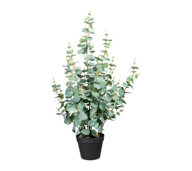 Kunstpflanze Eukalypthus Silverdollar, grün / grau,...