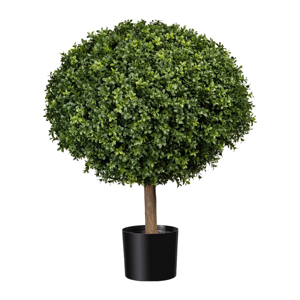 Kunstpflanze Buchs-Kugelbaum, grün, Naturstamm, inklusive Kunststoff-Topf,  Höhe ca. 80 cm online kaufen