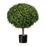 Kunstpflanze Buchs-Kugelbaum, grün, Naturstamm, inklusive Kunststoff-Topf, Höhe ca. 80 cm