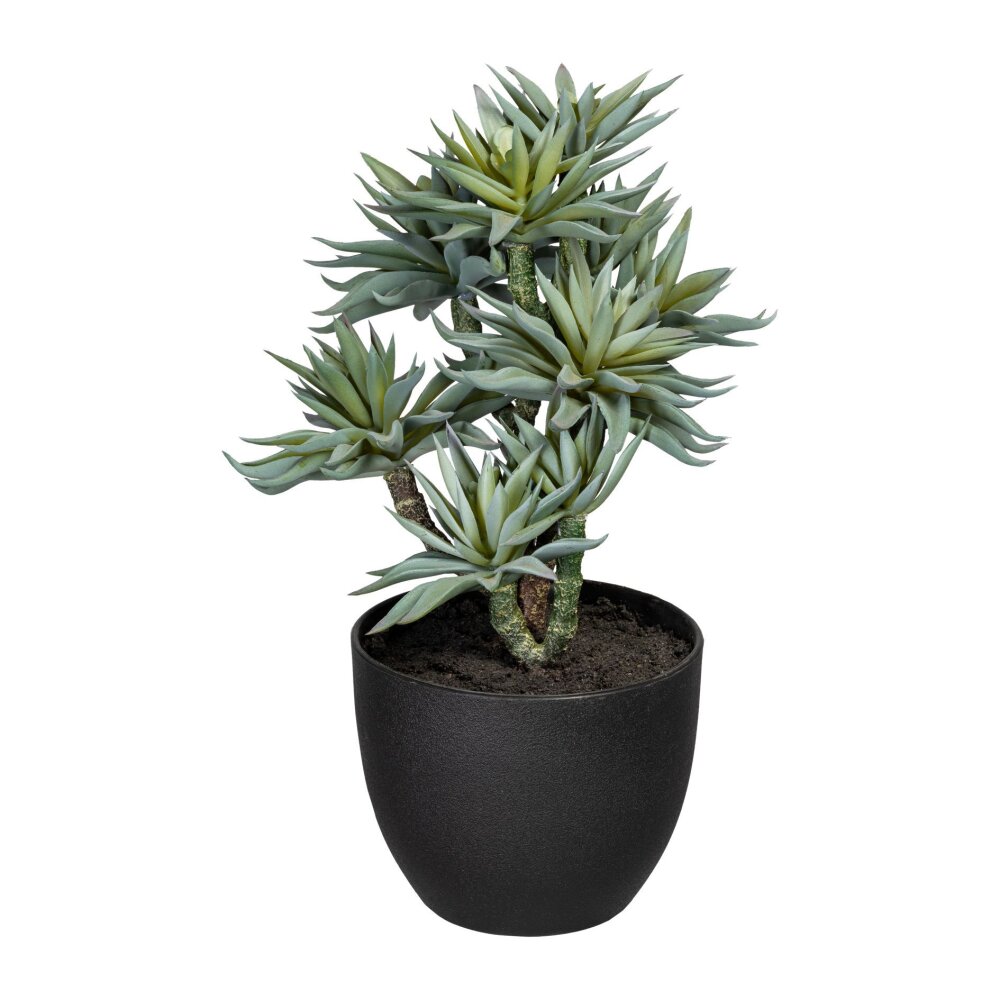 Kunstpflanze Sukkulenten, grün / grau, inklusive Kunststoff-Topf, Höhe ca.  30 cm online kaufen