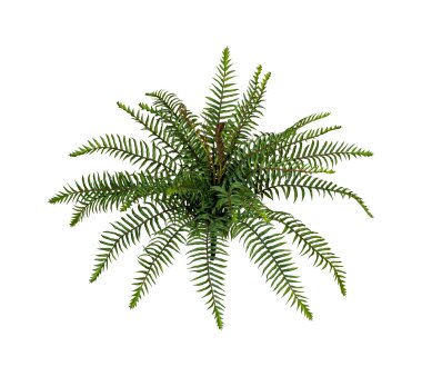 Kunstpflanze Wildfarnbusch, grün, Höhe ca. 45 cm
