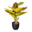 Kunstpflanze Croton, 2er Set, grün / gelb, inklusive Kunststoff-Topf, Höhe ca. 35 cm
