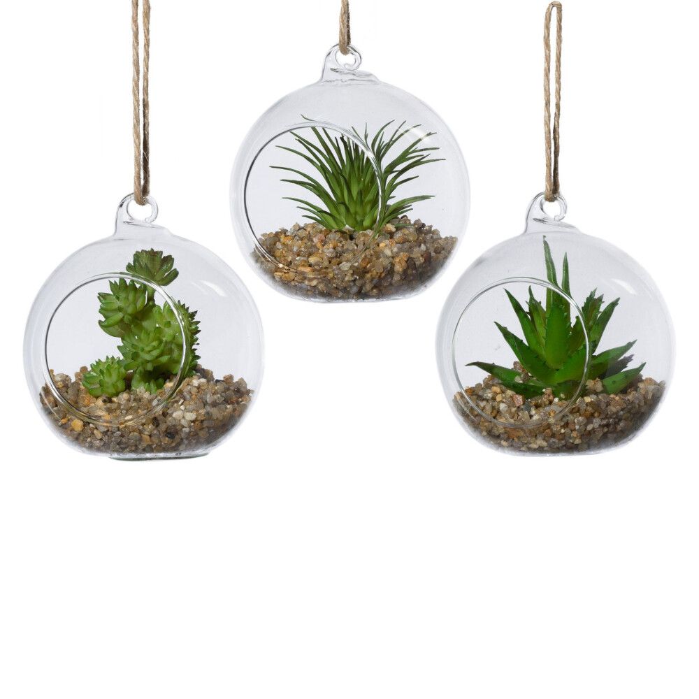 Kunstpflanze Sukkulenten, 3er Set, grün, Hänge-Glas, inklusive ca. online kaufen cm 8x8x8,5