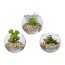Kunstpflanze Sukkulenten, 6er Set, 3-fach sortiert, grün, inkl. Glas, ca. 6,7x5,4 cm
