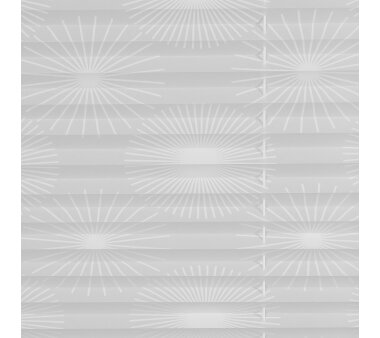 Lichtblick Plissee Klemmfix, ohne Bohren, verspannt, Ausbrenner, Weiß  60 cm x 130 cm (B x L)