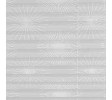 Lichtblick Plissee Klemmfix, ohne Bohren, verspannt, Ausbrenner, Weiß  90 cm x 220 cm (B x L)