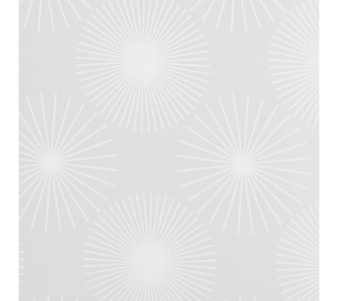 Lichtblick Rollo Klemmfix, ohne Bohren, blickdicht - Ausbrenner, Weiß  45 cm x 150 cm (B x L)