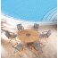 BEST Freizeitmöbel Dining-Tisch Agadir, Ø 150cm, rund, teak