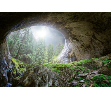 AS Creation Vlies-Fototapete CAVE IN THE FOREST 118919, 8...
