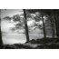 AS Creation Vlies-Fototapete FOREST LAKE 118953, 8 Teile, 384x260 cm