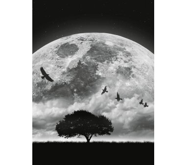 AS Creation Vlies-Fototapete MOON AND BIRDS 119153, 4...