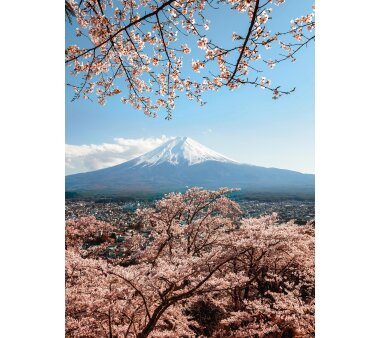 AS Creation Vlies-Fototapete MOUNT FUJI IN JAPAN 119173,...