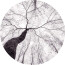 AS Creation Vlies-Fototapete INSIDE THE TREES 119182, 3 Teile, 140x140 cm