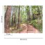 AS Creation Vlies-Fototapete FOREST WALK 118626, 5 Teile, 350x255 cm