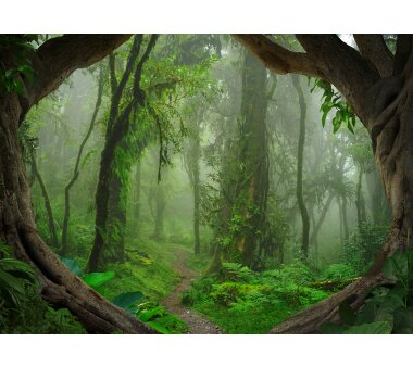 AS Creation Vlies-Fototapete TROPICAL FOREST 118632, 5...