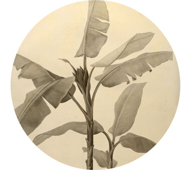 Vlies-Fototapete KOMAR, DOTS BANANA PLANT, selbstklebend, 1 Teil, Ø 125 cm