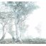 Vlies-Fototapete KOMAR, RAW MAGIC TREES, 3 Teile, BxH 300 x 280 cm