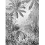 Vlies-Fototapete KOMAR, RAW LAC TROPICAL BLACK AND WHITE, 2 Teile, BxH 200 x 270 cm