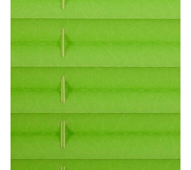 Lichtblick Plissee Klemmfix, ohne Bohren, verspannt - Grün 80 cm x 210 cm (B x L)
