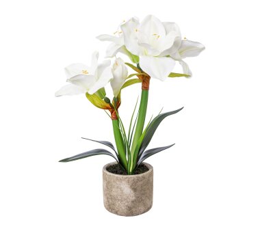 Kunstpflanze Amaryllis, Farbe weiß, inkl....