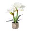 Kunstpflanze Amaryllis, Farbe weiß, inkl. Zement-Topf, Höhe ca. 42 cm