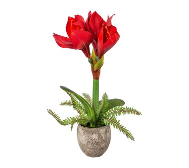 Kunstpflanze Amaryllis, Farbe rot, inkl. Zement-Topf,...