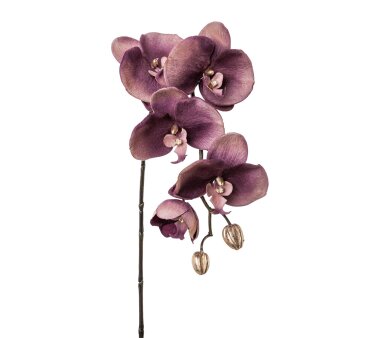 Kunstblume Phalenopsis, 2er Set, Farbe purple, Höhe...