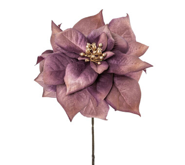 Kunstblume Poinsettie, 5er Set, Farbe purple, Höhe...