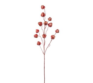 Kunstpflanze Physaliszweig metallic, 2er Set, Farbe rot,...
