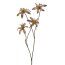 Kunstpflanze Lilienzweig metallic, 4er Set, Farbe braun, Höhe ca. 60 cm