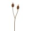 Kunstpflanze Kardendistelzweig, 3er Set, Farbe braun, Höhe ca. 80 cm