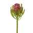 Kunstpflanze Leucodendronzweig, 4er Set, Farbe bordeaux, Höhe ca. 52 cm