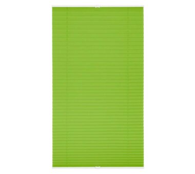 Lichtblick Plissee Klemmfix, ohne Bohren, verspannt - Grün 90 cm x 210 cm (B x L)