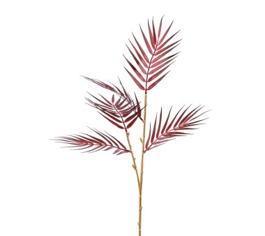 Kunstpflanze Palmblattzweig, 2er Set, Farbe bordeaux,...