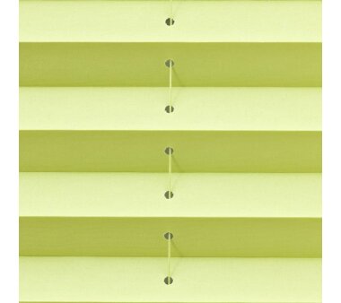 Lichtblick Plissee Klemmfix, ohne Bohren - Grün 90 cm x 130 cm (B x L)