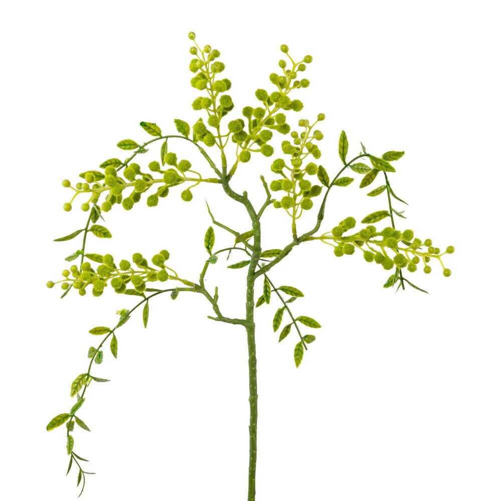 3er Mimosen-Hängezweig, in Set grün Künstlicher (3 kaufen Stück) Farbe: