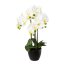 Kunstpflanze Phalenopsis (Orchidee), Farbe weiß, inkl. Resintopf, Höhe ca. 55 cm