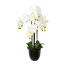 Kunstpflanze Phalenopsis (Orchidee), Farbe weiß, inkl. Resintopf, Höhe ca. 69 cm