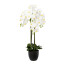 Kunstpflanze Phalenopsis (Orchidee), Farbe weiß, inkl. Resintopf, Höhe ca. 99 cm