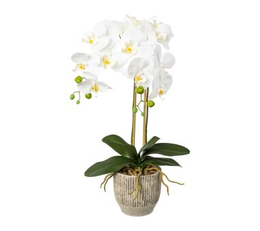 Kunstpflanze Phalenopsis (Orchidee), Farbe weiß,...